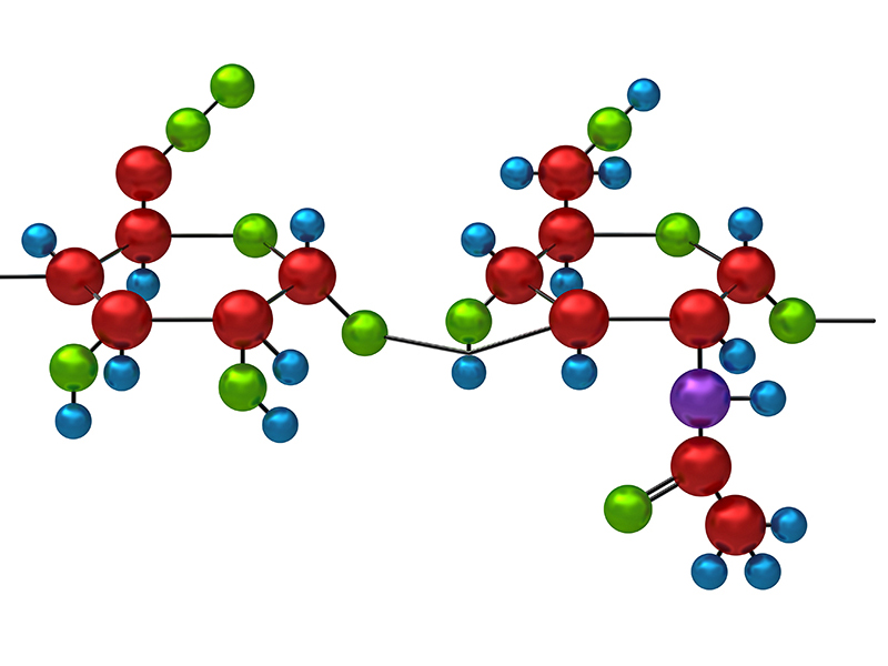 hyaluronan molecule