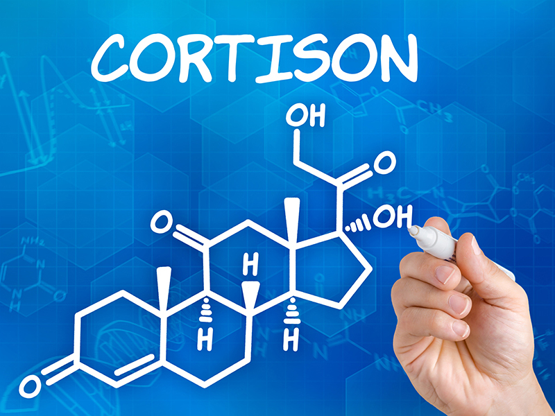 The active ingredient cortisone is also found in some eye ointments.